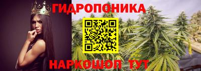 spice Бузулук