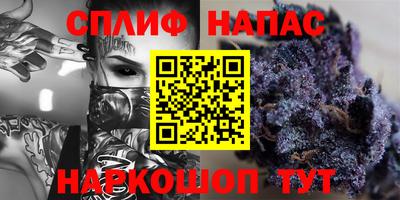 молекула духа Будённовск