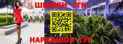 молекула духа Будённовск