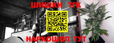 молекула духа Будённовск