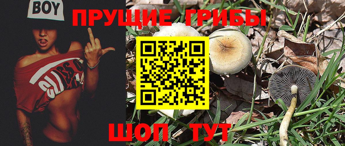 Галлюциногенные грибы ЛСД Унеча