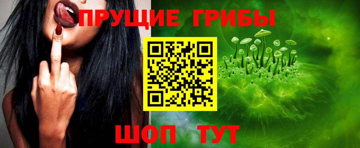 что такое   Вход с VPN  Унеча  Псилоцибиновые грибы Psilocybe 